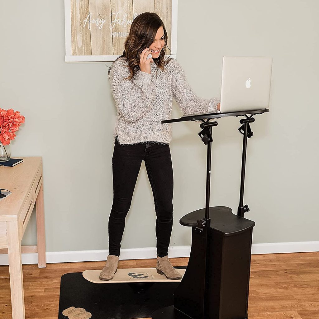 Whirly Balance Boards Trainer